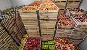  Поскъпването на храните на едро по стоковите тържища се забавя 