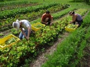 От 21 април тръгва новият модул за електронна регистрация на многодневни трудови договори