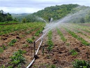 Изтича срокът за промоционалните програми