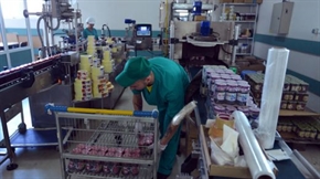 Продават пловдивска фабрика за сладка за 12 млн. долара