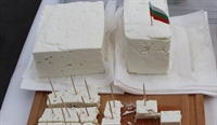 Представят политиката за промоционалните програми в МЗХГ