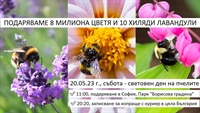 ПОДАРЯВАМЕ 8 МИЛИОНА ЦВЕТЯ И 10 ХИЛЯДИ ЛАВАНДУЛИ - В ПОМОЩ НА ПЧЕЛИТЕ