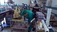 Продават пловдивска фабрика за сладка за 12 млн. долара