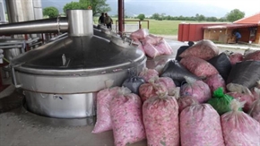 Предложение: БГ посолствата да помогнат за реализацията на розовото ни масло в чужбина