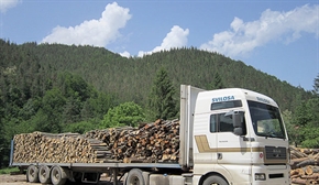Горски проверяват камионите за незаконна дървесина пред преработвателните предприятия