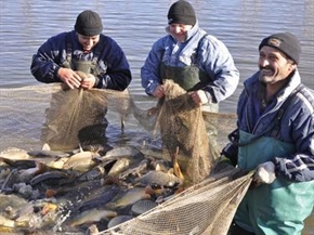 Строят предприятие за рибни продукти в Айтос