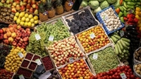 Китайските компании с огромен пазар за плодове и зеленчуци за Русия