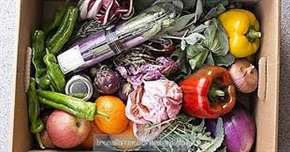  Домакинствата изхвърлят 57% от всички хранителни отпадъци в България 