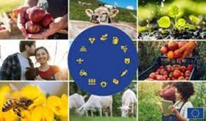 ЕК отпусна 185,9 млн. евро за популяризиране на европейските храни за догодина