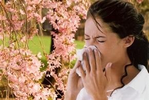 Всеки трети с алергия от брези и райграс