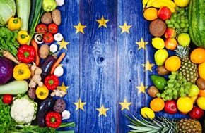 БАБХ публикува новите изисквания за търговия с храни с Великобритания