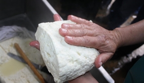 Пада националната защита на българското кисело мляко, сиренето, кашкавала и розовото масло