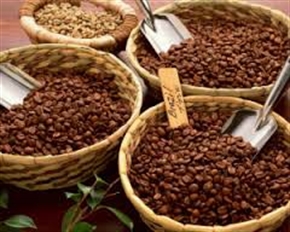 Производството на кафе с исторически връх през тази година