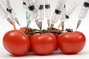 Крият ГМО от българските етикети