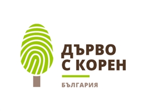Гласувайте за българското дърво в конкурса „Европейско дърво на годината“ – до 28 февруари