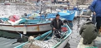Рибари вече могат да кандидатстват за европари